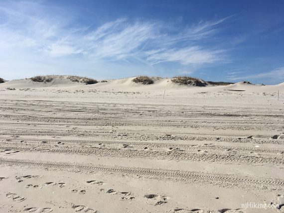 Sandy beach with dunes in the background