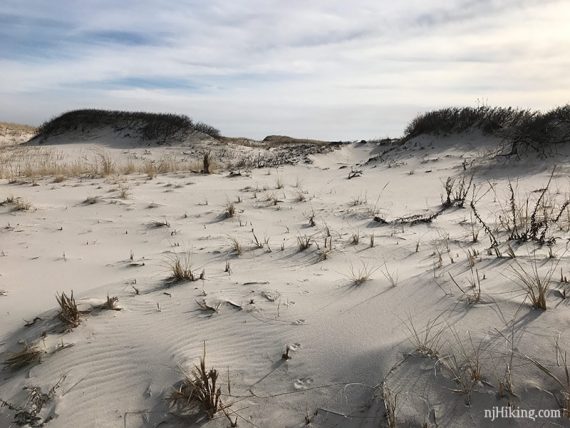 Sand dunes on the Coast Guard Trail