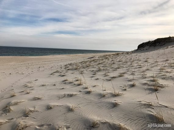 Sand dunes with the ocean in the background