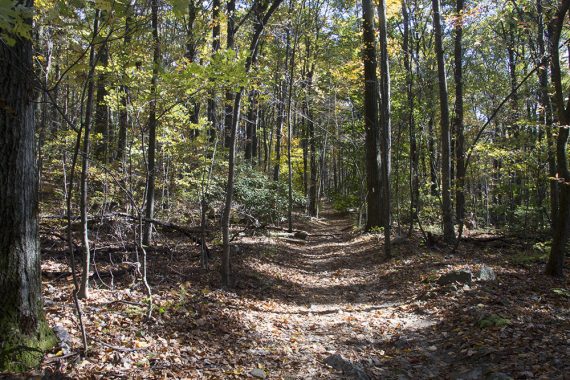 Appalachian Trail