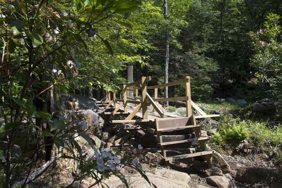 New bridge at the junction of RED, WHITE and BLUE trails