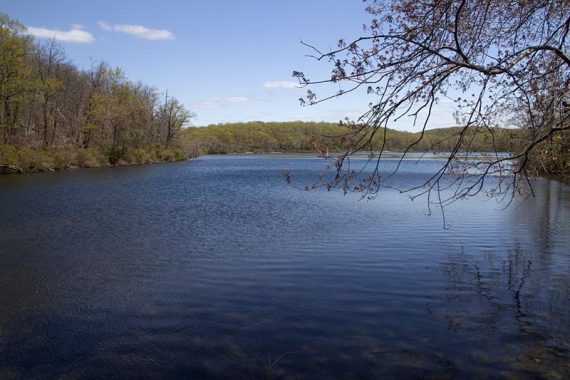 Sunfish Pond