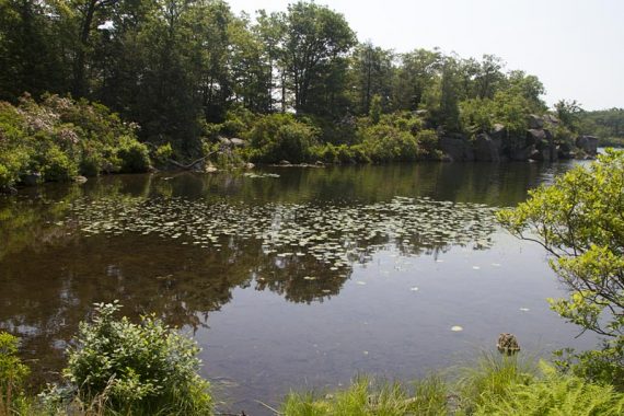 Pine Meadow Lake