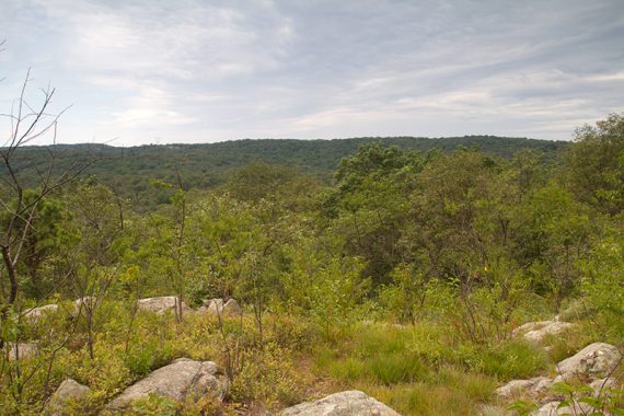 View from the Horse Pond Mountain trail