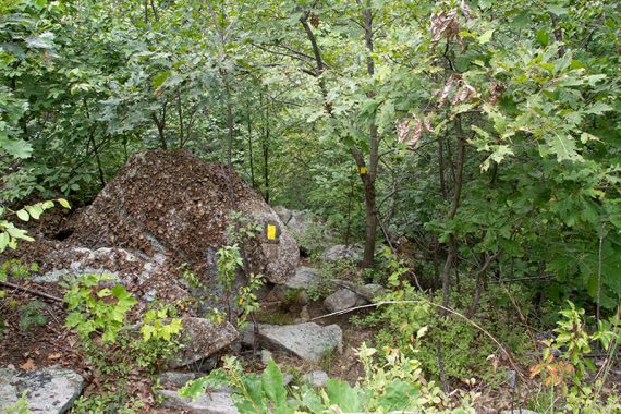 Scrambling down Burnt Meadow Trail