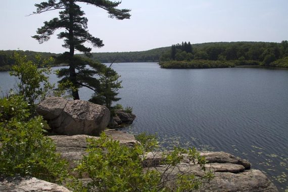 Pine Meadow Lake from the bit of land that juts into it