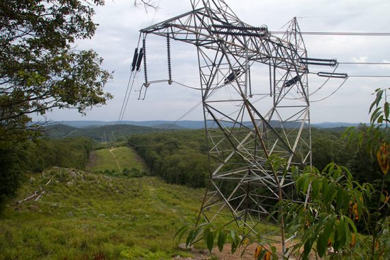 View of powerlines from a little side trail off of Hewitt Butler