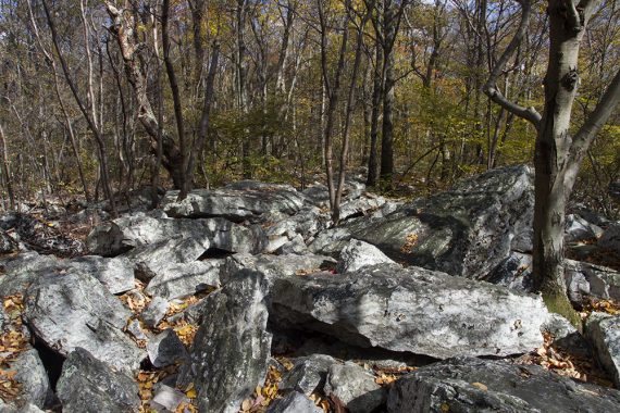 Rocky trail