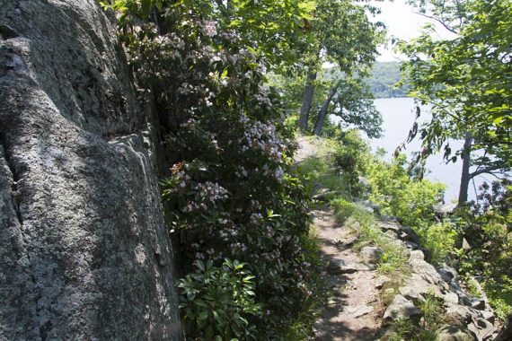 The trail around the lake