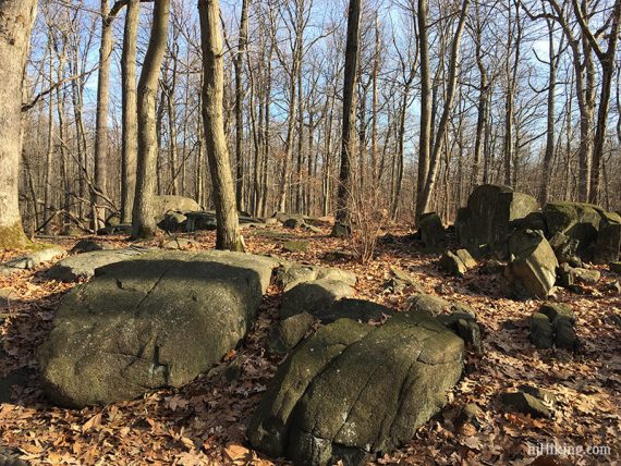 Rocks along the trail