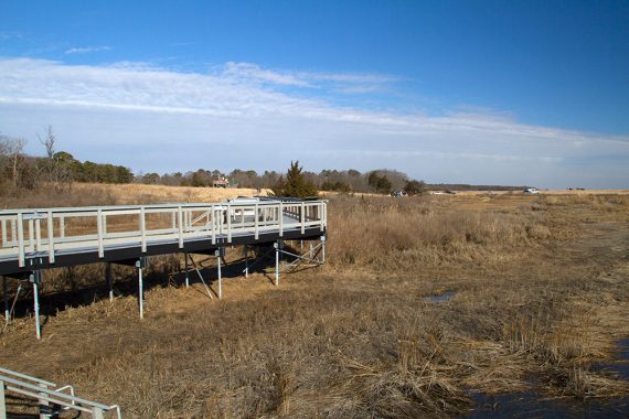 Eco Trail boardwalk jutting out over marsh.