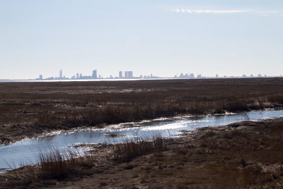 Atlantic City skyline with marshes in the foreground.