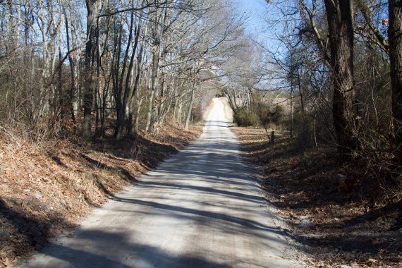 Wide flat sand road that is Wildlife Drive.