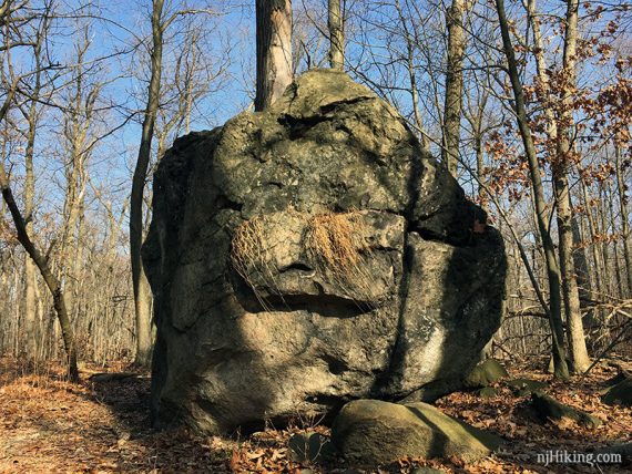 Haring Rock - glacial erratic on ORANGE