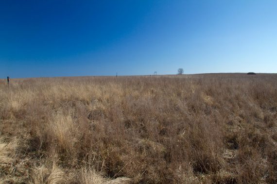 Brown grassy area with blue sky overhead.