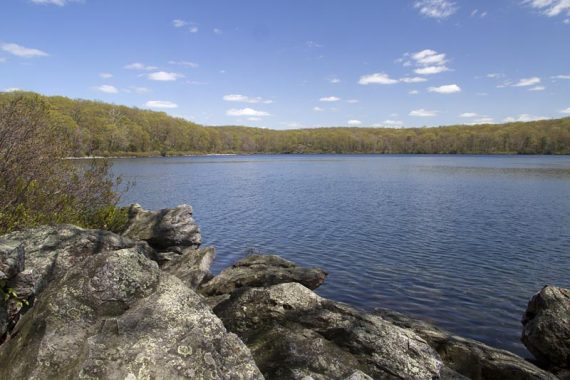 Sunfish Pond