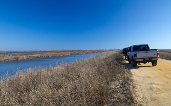 Trucks pulled along the side of sandy Wildlife Drive.