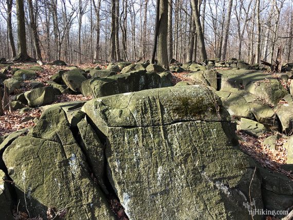 Rock field along Bischoff