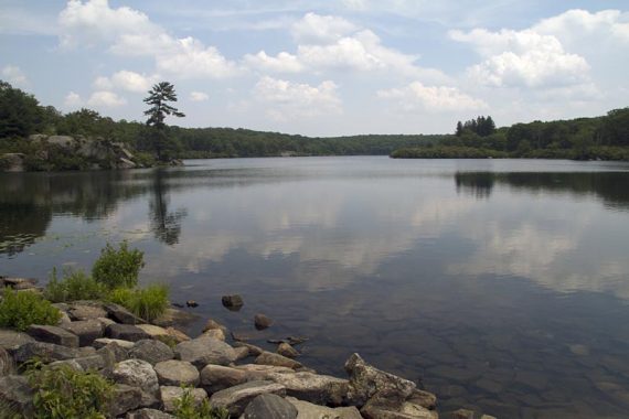 Pine Meadow Lake