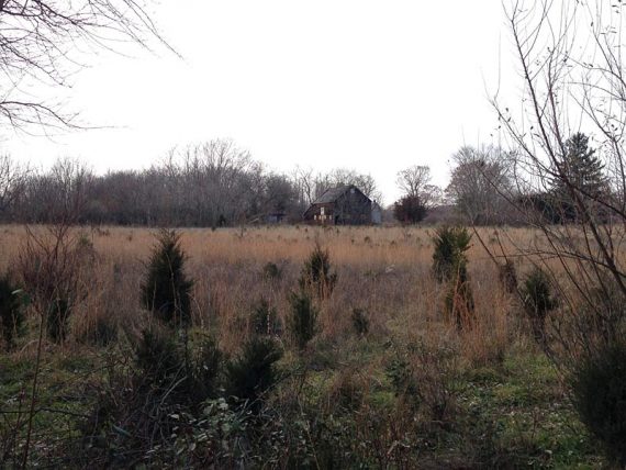 House seen from the trail