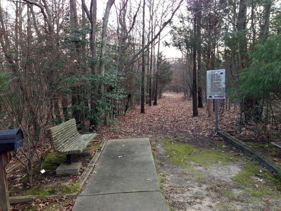 Start of the nature trail on the other side of the road