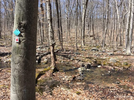 One of several rock hops over streams