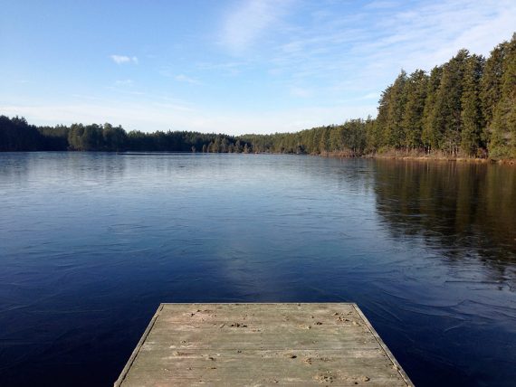 Wooden dock overlooking a lake ringed with pine trees.
