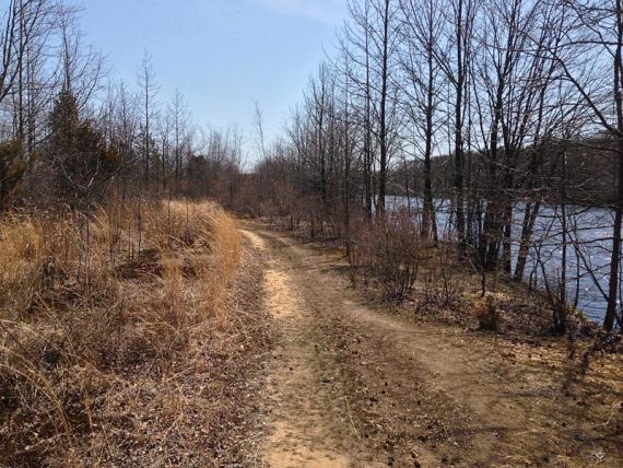 Maggie's Trail.