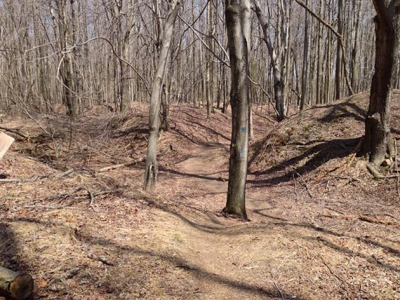 BLUE trail.