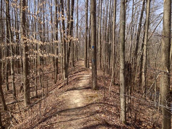 BLUE trail.