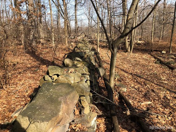 Old stone fence on Bischoff