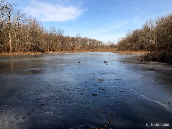 Pfister's Pond