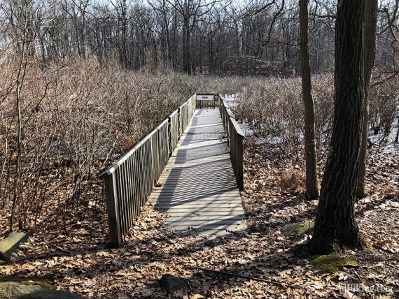 Viewing platform on YELLOW at Pfister's Pond