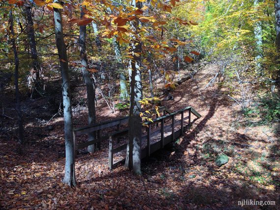 Trail crossing a small brook on a wooden bridge.