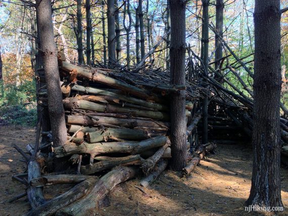Log cabin type structures made from stacking trees.