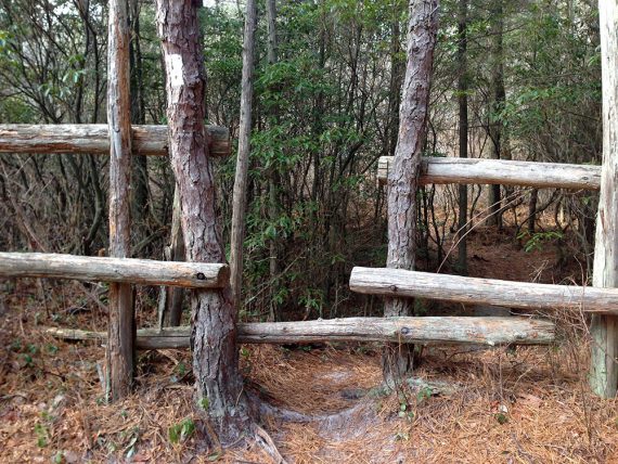 Crossing a fence