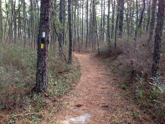 WHITE trail co-aligned with GREEN/YELLOW sometimes.