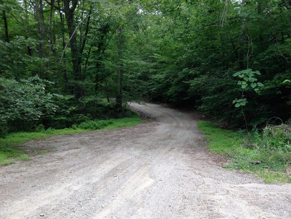 Burnt Meadow Road. There is a pullout for a couple cars.