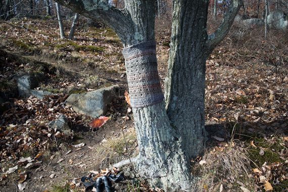 Knit sweater on a tree