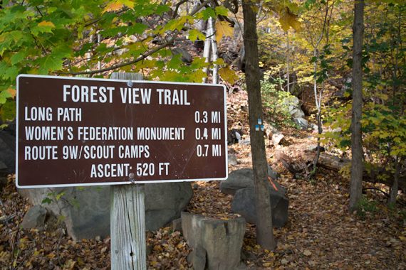 Forest View trail sign