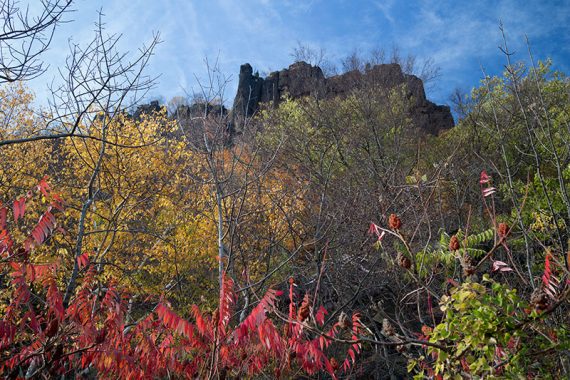 Looking up at the Palisades from the Shore trail