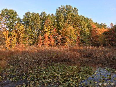Great Swamp National Wildlife Refuge njHiking