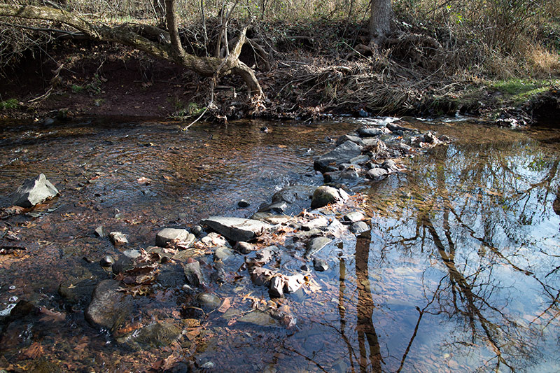 Butler Road Natural Area