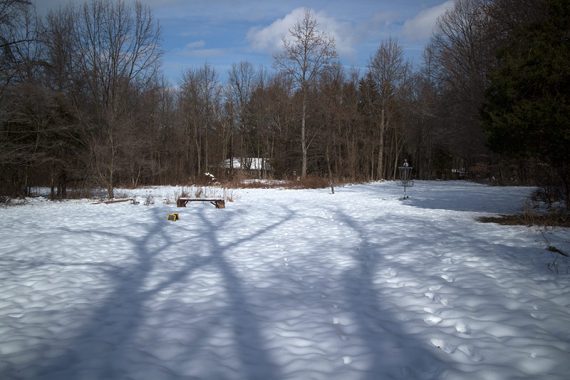 Purple trail near a disc golf course