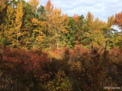 Great Swamp National Wildlife Refuge njHiking