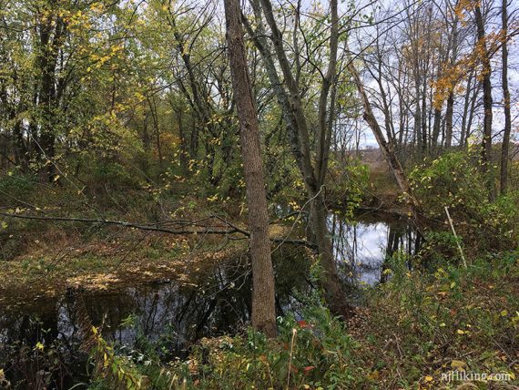 View of the river at trail end.