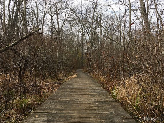 Red trail over boardwalk