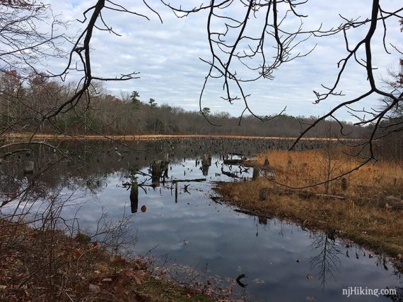 Long Swamp Pond