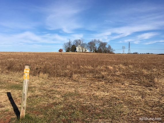 Intersection of YELLOW and BLUE near the wildlife blind