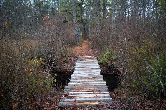 Wooden bridge on the RED trail